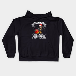 I Want For Christmas Is A Rottweiler Dog Santa Hat Xmas Men Kids Hoodie